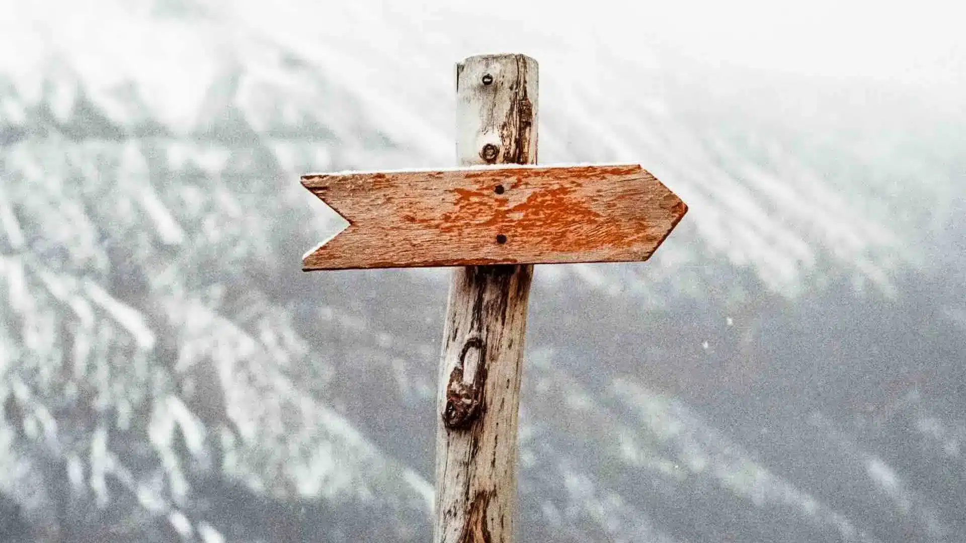 Un panneau indique une direction à prendre.